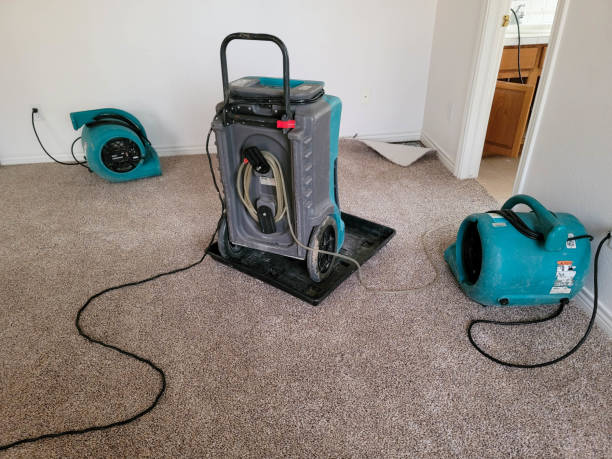 Pineland, TX Water damage restoration Company