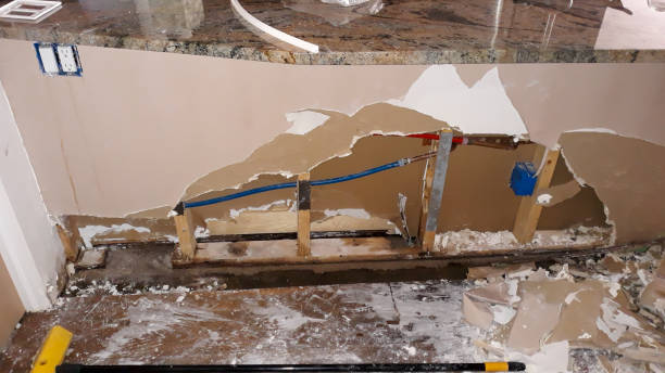 Best 24/7 water damage repair  in Pineland, TX