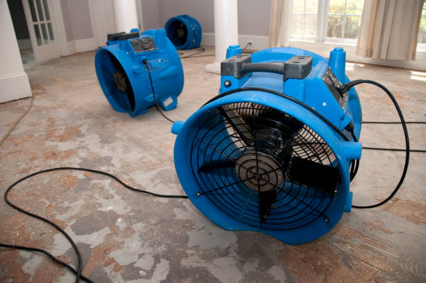 Best 24-hour water damage restoration  in Pineland, TX