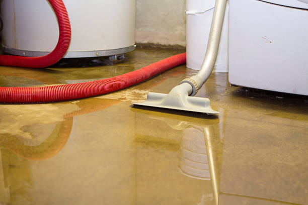 Best Water damage restoration services  in Pineland, TX