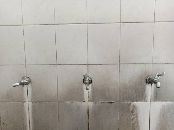 Best Water damage cleanup near me  in Pineland, TX