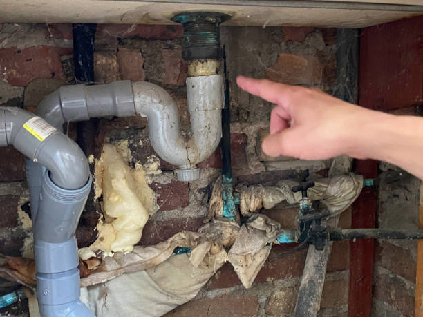 Best Basement water damage restoration  in Pineland, TX