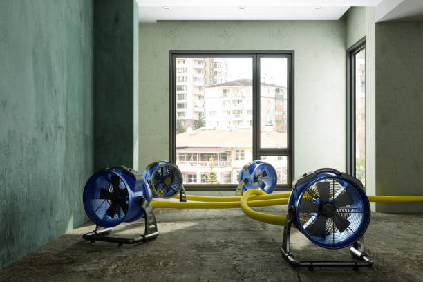 Best Commercial water damage restoration  in Pineland, TX