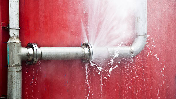 Best Flooded house restoration  in Pineland, TX